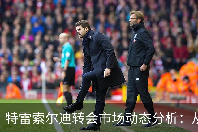 特雷索尔迪转会市场动态分析：从被“嫌贵”到供不应求